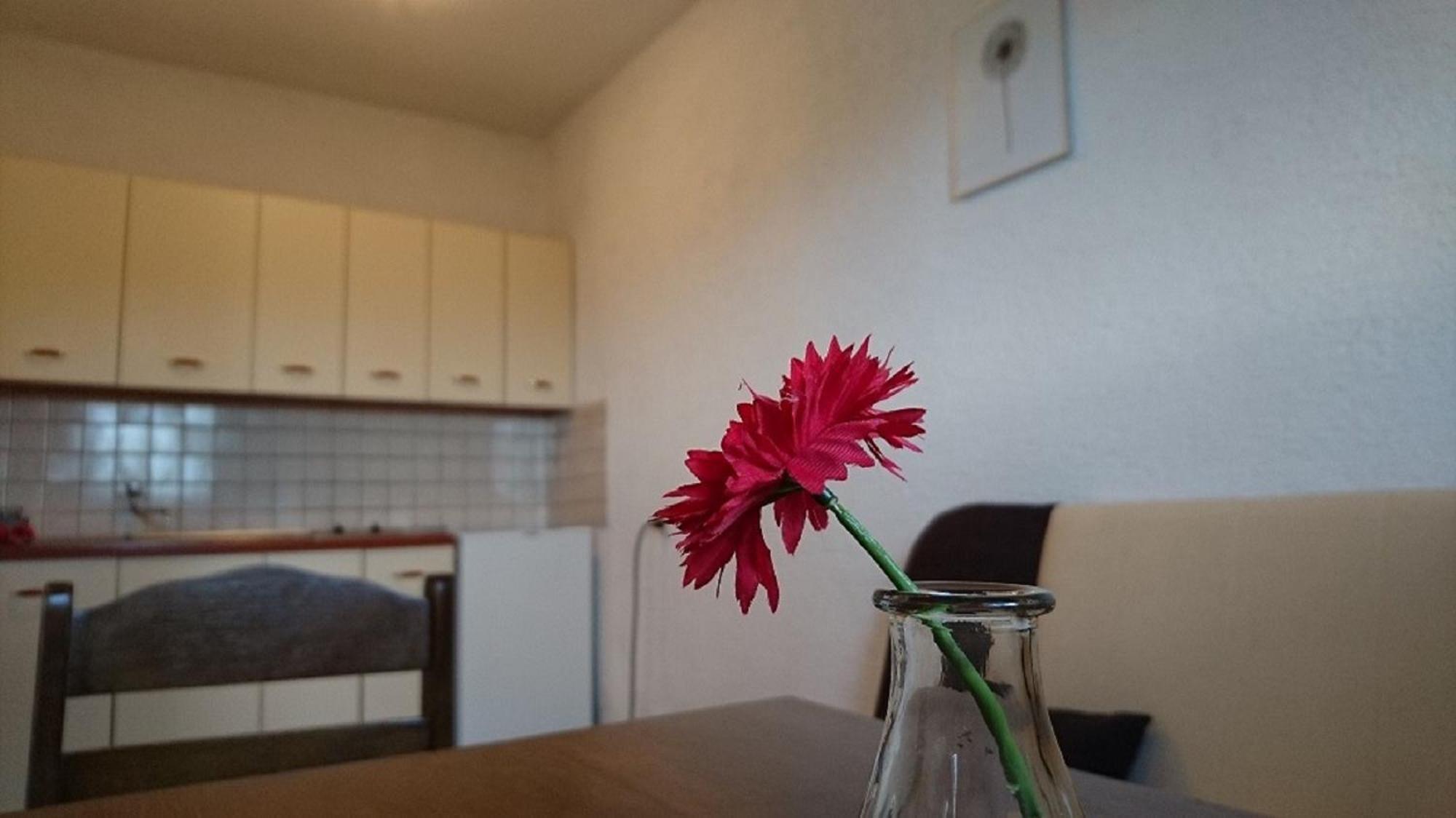 Apartman Monika Nin